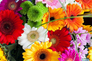 kuss-essentials-Floral kuss-essentials-Floral