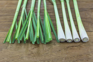 kuss-essentials-Lemongrass kuss-essentials-Lemongrass