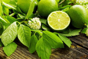 kuss-essentials-Lime
