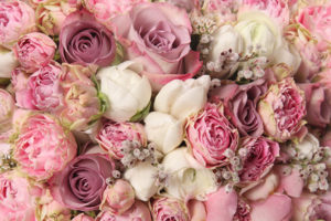 kuss-essentials-Pink-Love