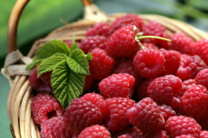 kuss-essentials-Raspberry
