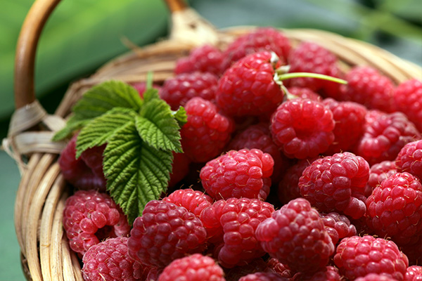 Raspberry